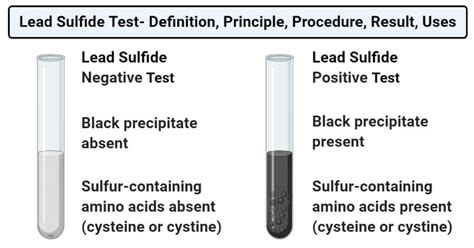 Lead Sulfide Test- Definition, Principle, Procedure, Result, Uses, test ...