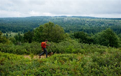 How To: Tucker County, WV - Go Outside - Blue Ridge Outdoors Magazine