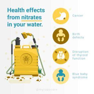 Nitrites, Nitrates, and Your Health - Pure Water Solutions - Southern ...