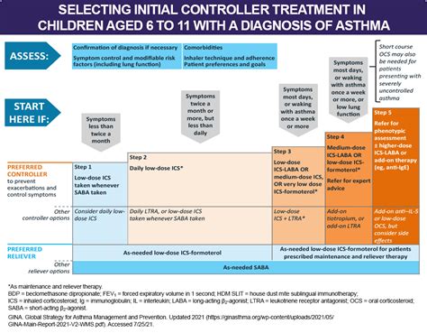 Health Care Providers Guidelines for Treating Asthma: Kids & Adults