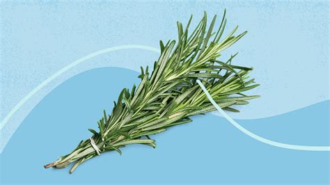 Rosemary Tea For Hair: Benefits And How To Use It, 42% OFF