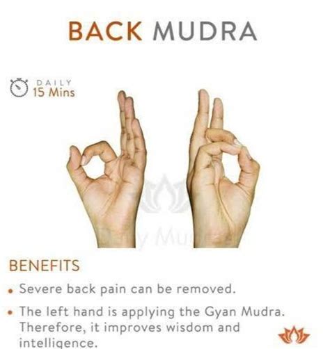 Lower Back Pain, Hip Pain,Sciatica in 2024 | Yoga facts, Mudras ...