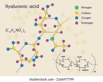 Hyaluronic Acid Chemical Formula Molecule Hyaluronic Stock Vector ...