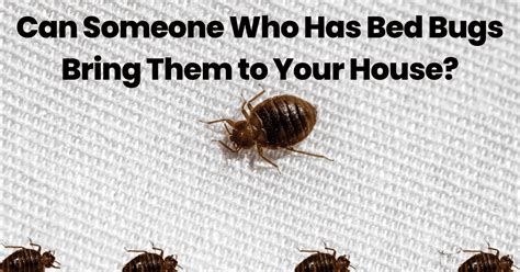 Can Someone Who Has Bed Bugs Bring Them to Your House?