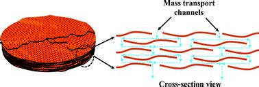 Graphene oxide nanosheet: an emerging star material for novel ...