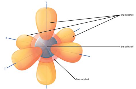 Electrons | Biology for Majors I