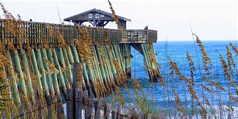 Myrtle Beach Attraction Spotlight: Myrtle Beach State Park ...