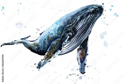 Whale. Humpback whale watercolor illustration. Underwater fauna Stock ...