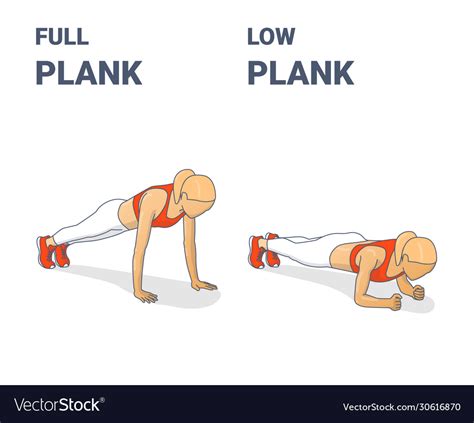 Full plank and elbow plank girl workout exercises Vector Image