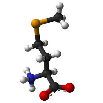 L-Selenomethionine - L Selenomethionine Latest Price, Manufacturers ...