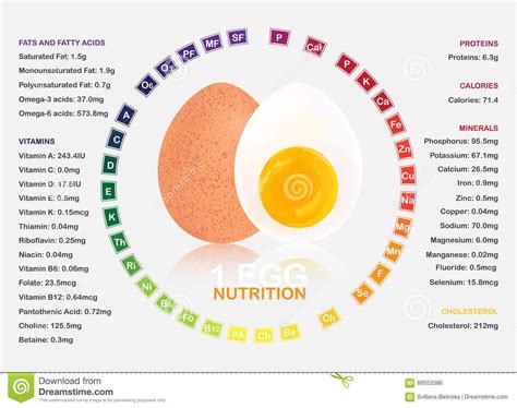 Illustration about Boiled egg nutrition facts infographic, sustenance ...