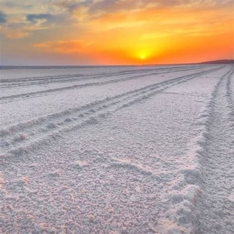 Rann of kutch the white salt desert – Artofit