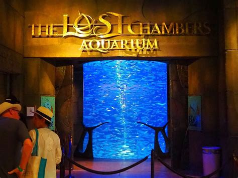 The Lost Chambers Atlantis Aquarium isn't really about fish (With ...