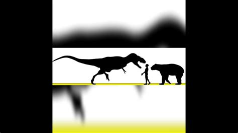 Bistahierversor And Arctotherium Angustidens Size Comparison - YouTube