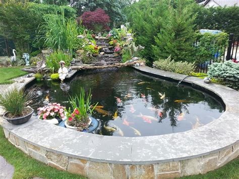 Achieve beautiful blue, healthy water with Organic Pond dyes and ...