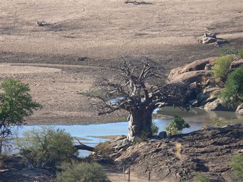 Limpopo Valley -- South Africa | Африка