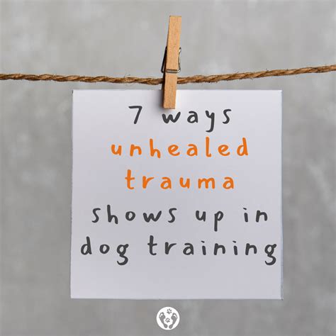 7 Ways Unhealed Trauma Shows Up In Dog Training — PackFit