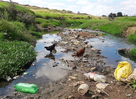 The stream that sees it all – Young Reporters for the Environment