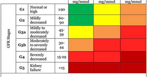 Glomerular Filtration Rate (GFR) | National Kidney Foundation