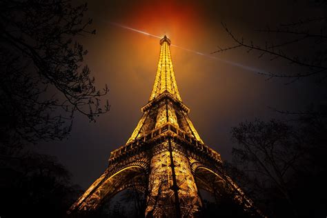 night, Eiffel Tower, Paris, France, Branch, Artificial lights, Red ...