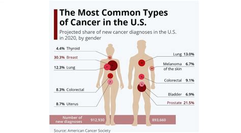 Three Types Of Skin Cancer