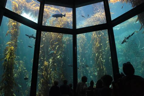 Monterey Bay Aquarium | Hensolt SEAONC Legacy Project