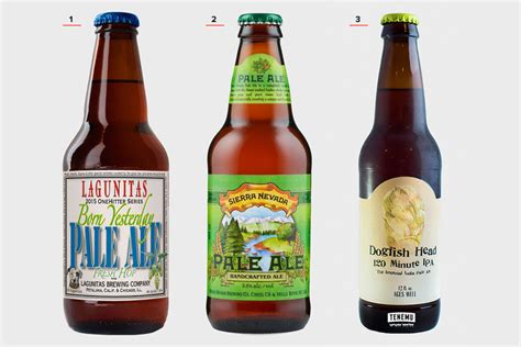 Beer 101: The Ultimate Guide To Beer | HiConsumption