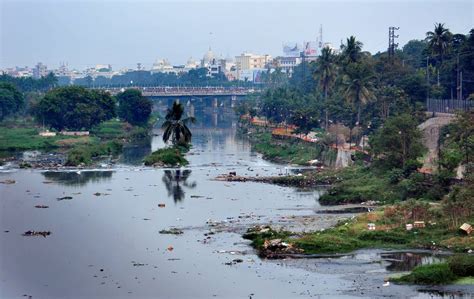 Neglected Musi River in Hyderabad turns into cesspool