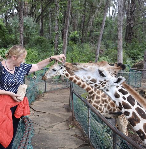 Animal Feeding in the Zoo | SIMILAR BUT DIFFERENT IN THE ANIMAL KINGDOM