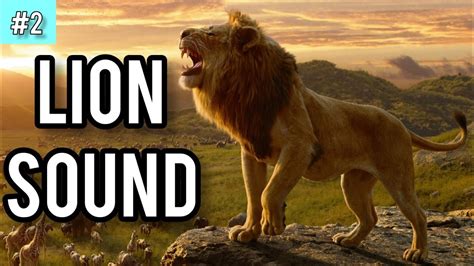 Lion Roar Sound Effect | Lion Sound - 2 | Free sound effects for you ...