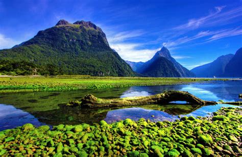 Milford Sound In New Zealand: A Guide To This Wonder Of Nature