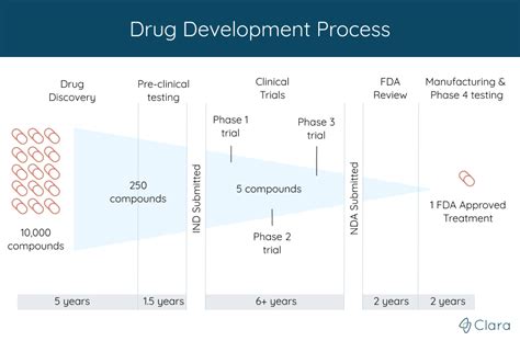 Drug Development Process Flowchart