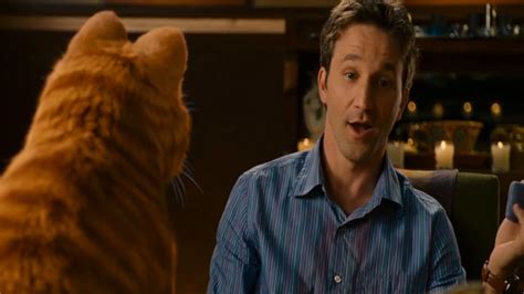 Prime Video: Garfield 2