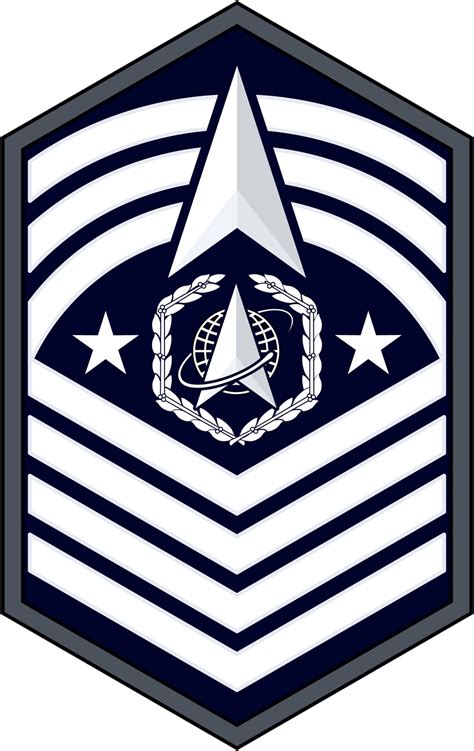 DVIDS - Images - USSF Enlisted Rank Insignia [Image 10 of 10]