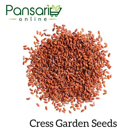 Garden Cress Seeds - Pansari Online