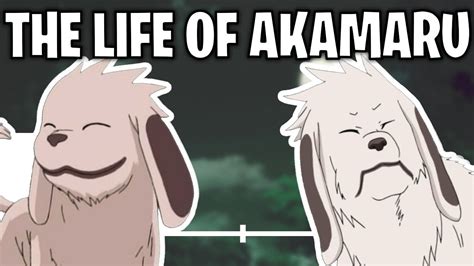 The Life Of Akamaru (Naruto) - YouTube