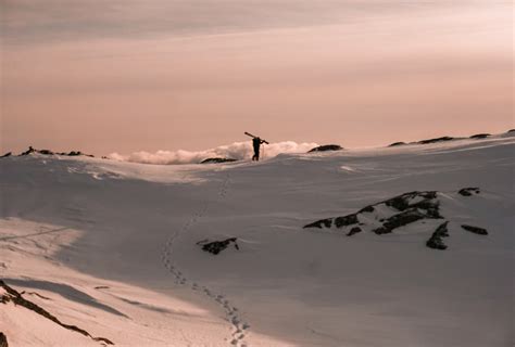 Photo of Snowy Field · Free Stock Photo