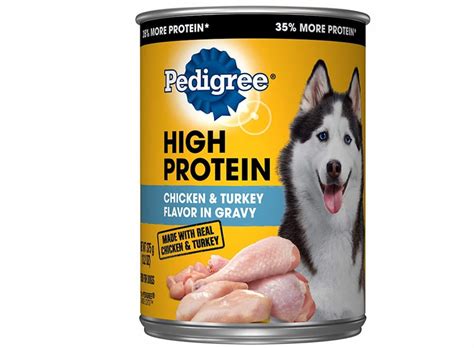 High-Protein Dog Food: 7 Best Formulas to Try | I Love My Dog So Much