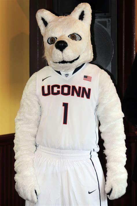 UConn's Stewart impresses at U.S. women's hoops camp