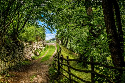 Country Road - Image Abyss