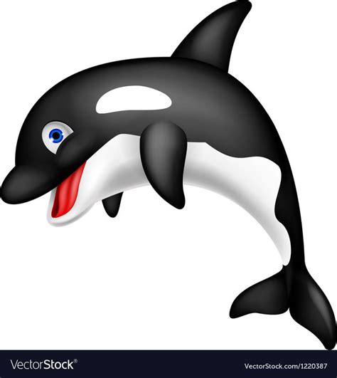 Vector Illustration of Cute Orca cartoon. Download a Free Preview or ...