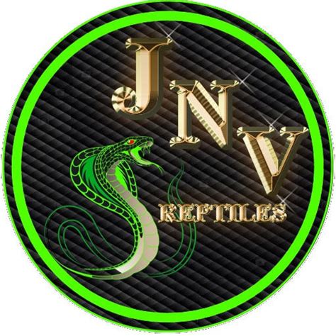 JNV LOGO new by imulhinch on DeviantArt