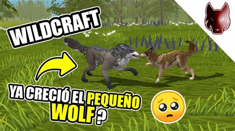 Wildcraft: Modo Historia Parte 2 - Gameplay en Español - YouTube