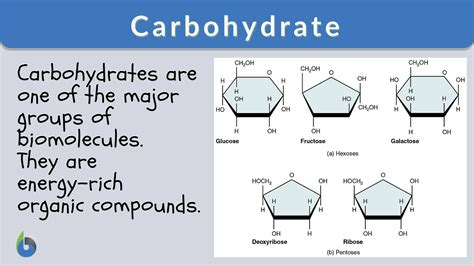 Carbohydrates Definition Examples Structure Types And Functions | Porn ...