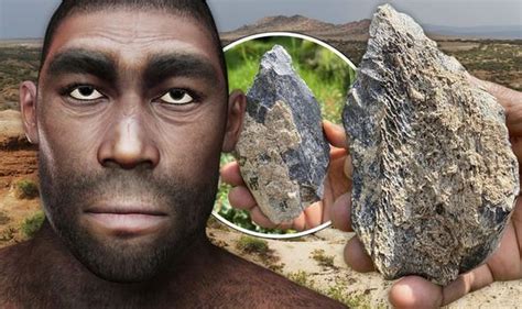 Archaeology news: Homo erectus hand axe found in Ethiopia | Science ...