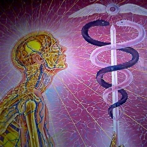 Wounded healer - Alchetron, The Free Social Encyclopedia