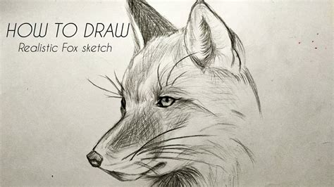 70以上 fox face drawing 691221-Fox face drawing cute