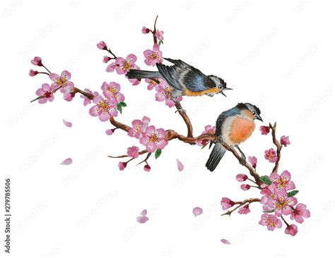 Watercolor traditional Chinese painting of flowers, cherry blossom and ...