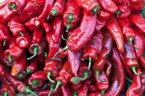 Chili pepper - Wikipedia