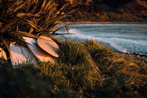 New Zealand’s Top Surf Beaches - Family Parks